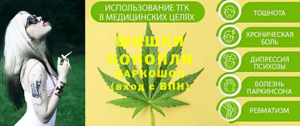 ГАЛЛЮЦИНОГЕННЫЕ ГРИБЫ Бронницы