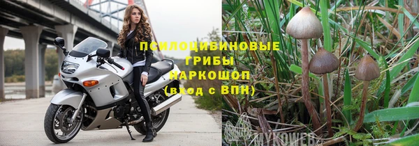 ГАЛЛЮЦИНОГЕННЫЕ ГРИБЫ Бронницы