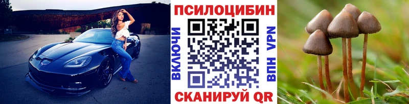 Галлюциногенные грибы Psilocybine cubensis  Катав-Ивановск 